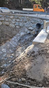 Gozdna cesta Žirovnikov križ Kadižev mlin slike 24. 3. 2025 (4)